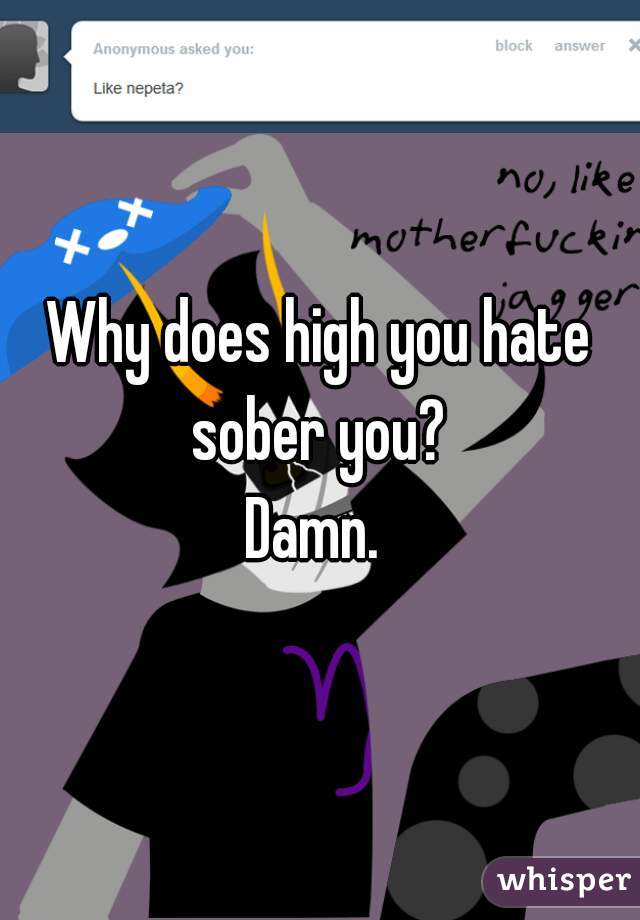Why does high you hate sober you? 
Damn. 