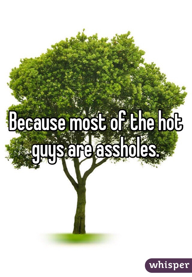 Because most of the hot guys are assholes. 