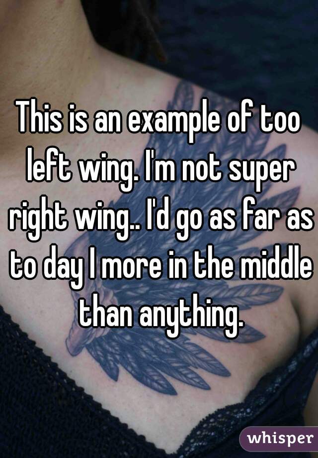 This is an example of too left wing. I'm not super right wing.. I'd go as far as to day I more in the middle than anything.