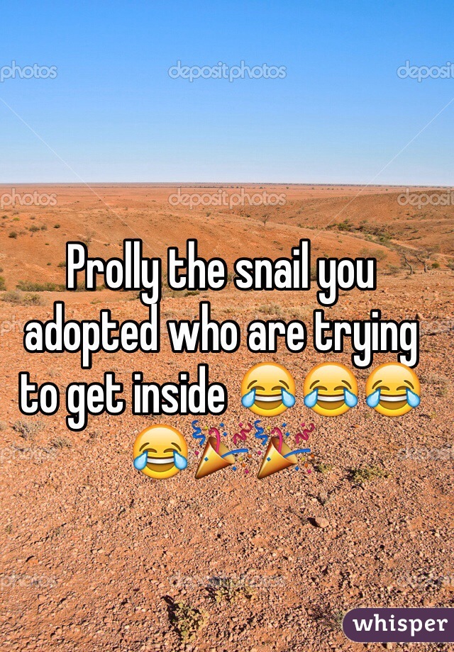 Prolly the snail you adopted who are trying to get inside 😂😂😂😂🎉🎉