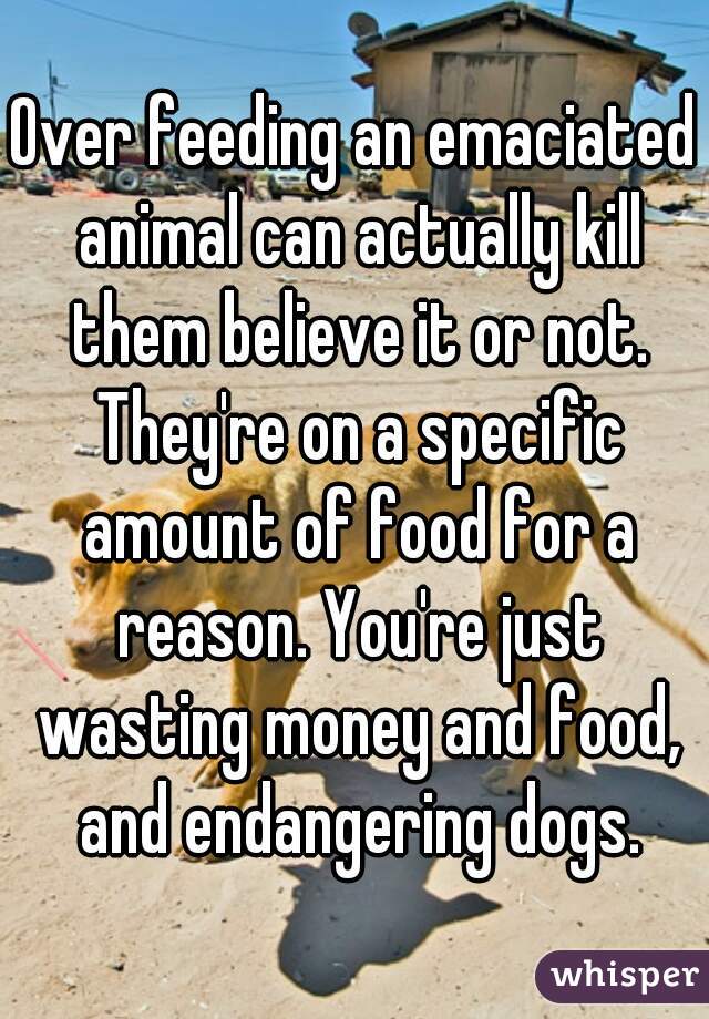 Over feeding an emaciated animal can actually kill them believe it or not. They're on a specific amount of food for a reason. You're just wasting money and food, and endangering dogs.