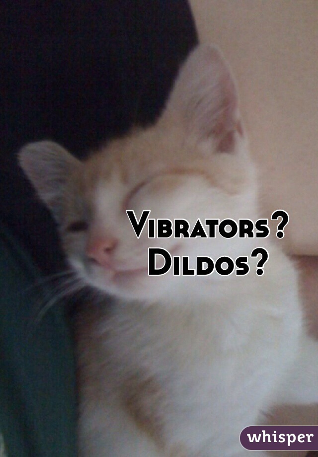 Vibrators? 
Dildos? 