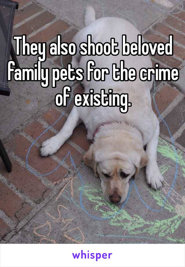 They also shoot beloved family pets for the crime of existing.