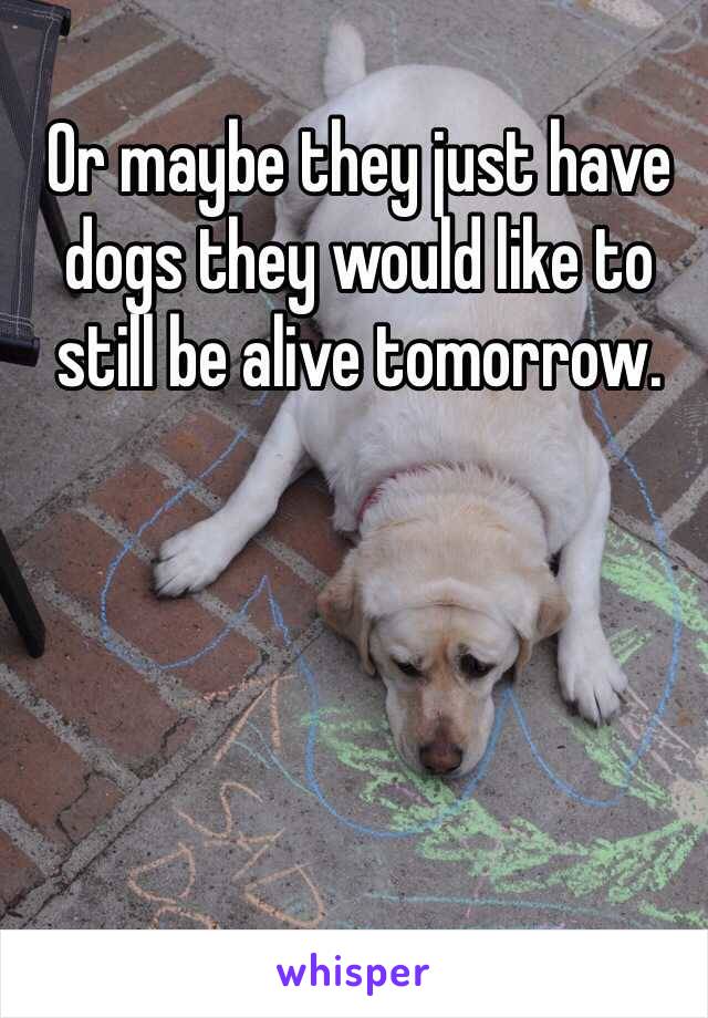 Or maybe they just have dogs they would like to still be alive tomorrow.