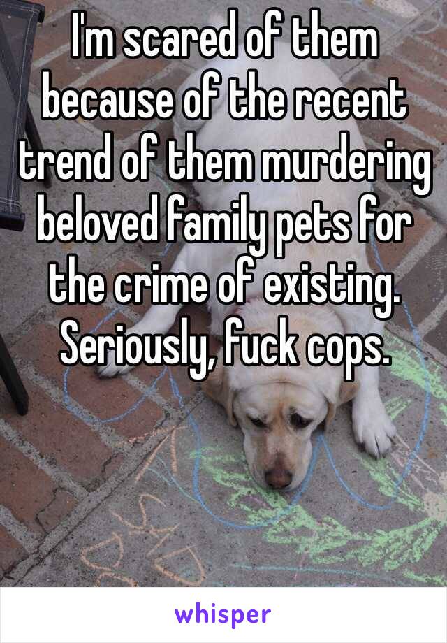 I'm scared of them because of the recent trend of them murdering beloved family pets for the crime of existing. Seriously, fuck cops.