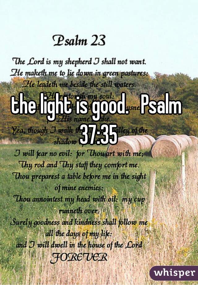 the light is good.   Psalm 37:35