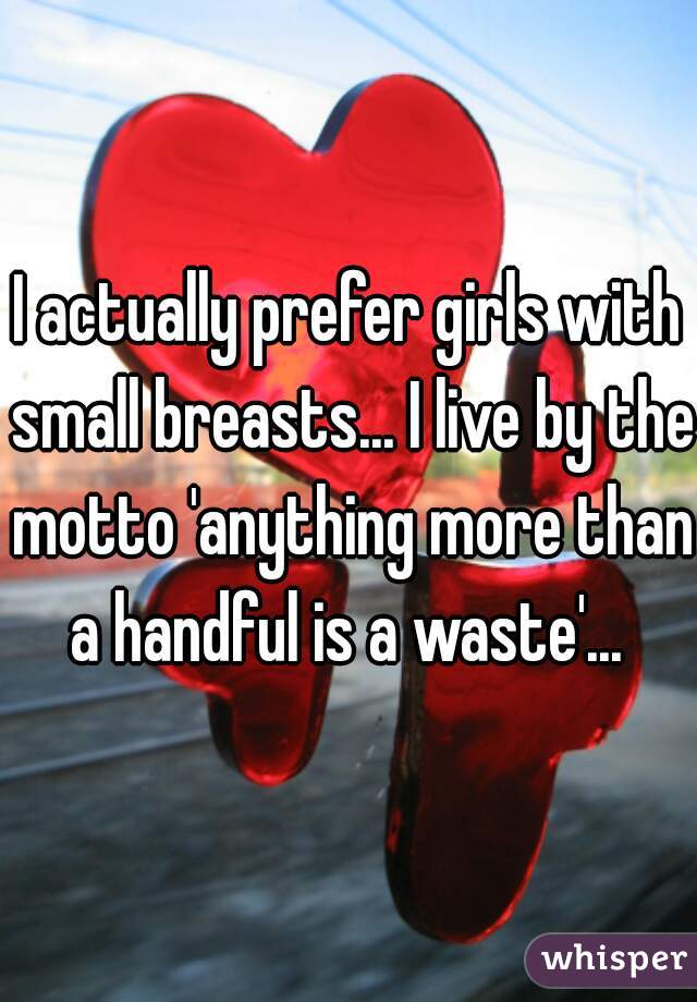 I actually prefer girls with small breasts... I live by the motto 'anything more than a handful is a waste'... 