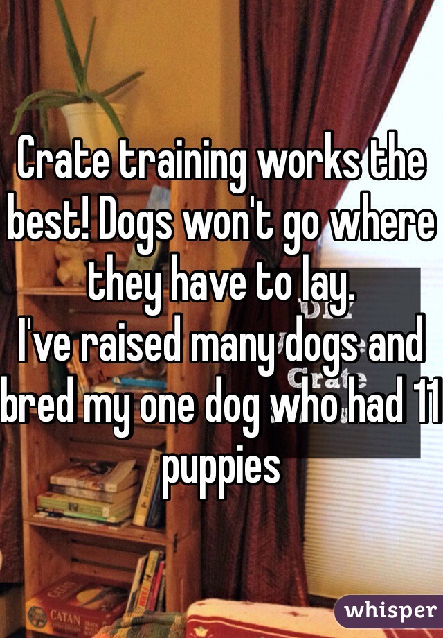 Crate training works the best! Dogs won't go where they have to lay. 
I've raised many dogs and bred my one dog who had 11 puppies