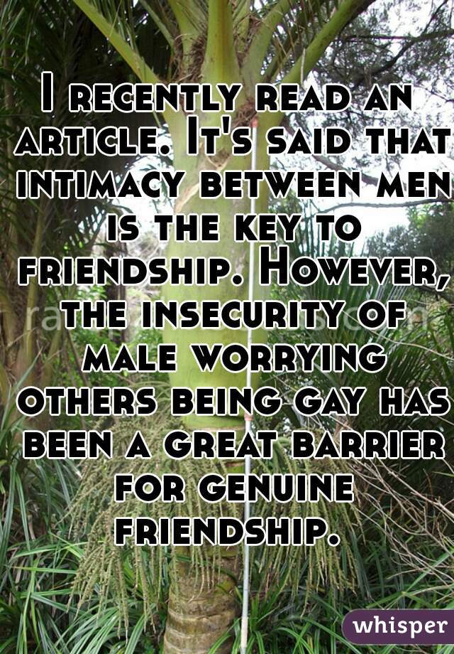 I recently read an article. It's said that intimacy between men is the key to friendship. However, the insecurity of male worrying others being gay has been a great barrier for genuine friendship. 