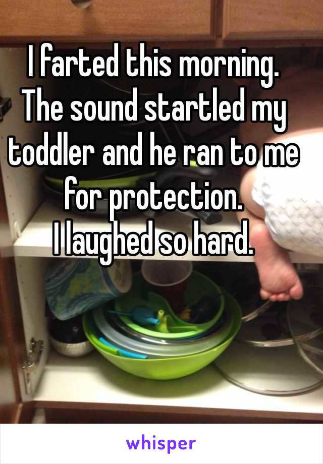 I farted this morning.
The sound startled my toddler and he ran to me for protection. 
I laughed so hard. 