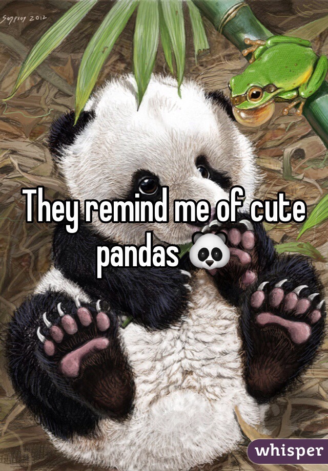 They remind me of cute pandas 🐼