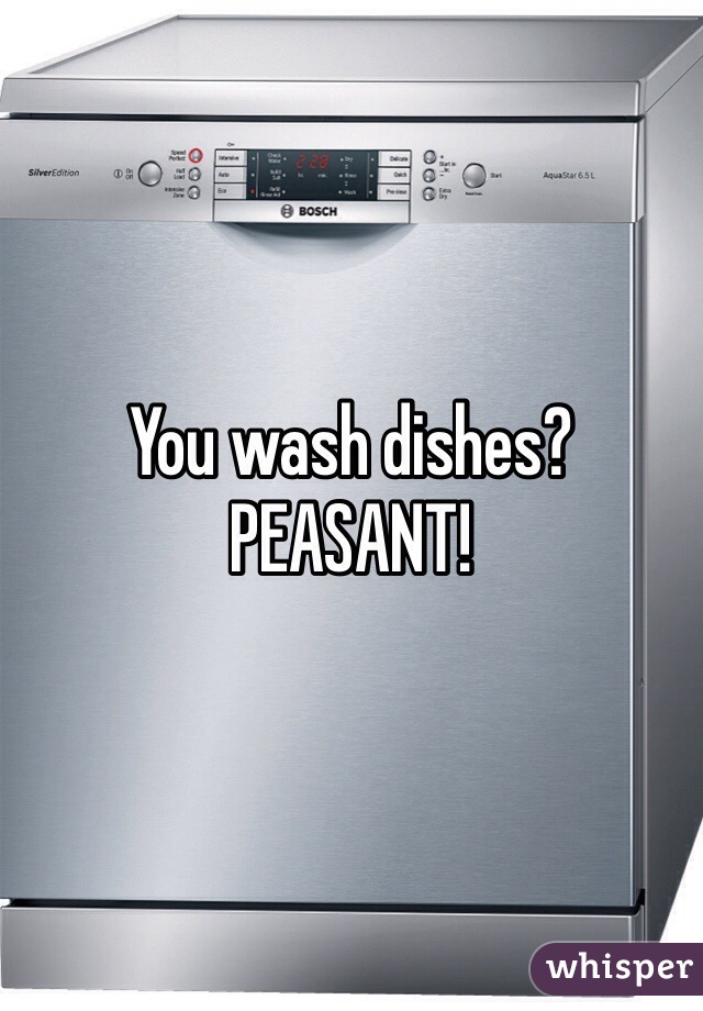 You wash dishes?PEASANT!