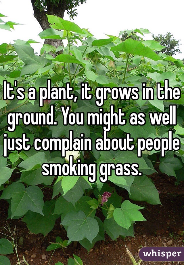 It's a plant, it grows in the ground. You might as well just complain about people smoking grass.
