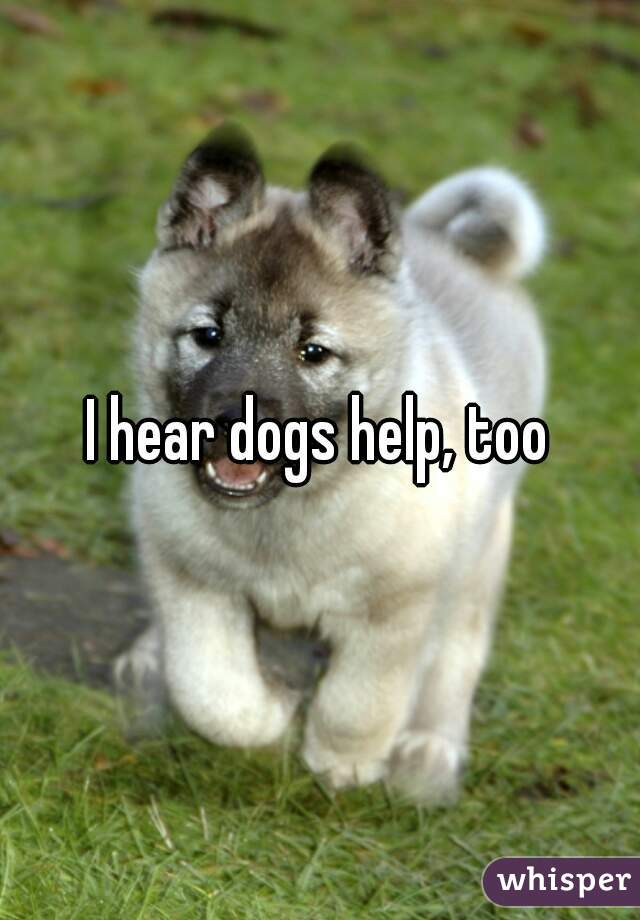 I hear dogs help, too