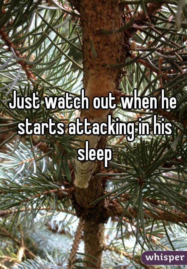 Just watch out when he starts attacking in his sleep