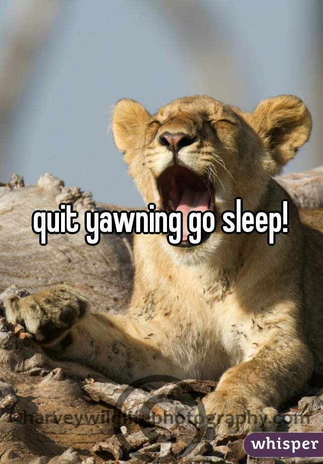 quit yawning go sleep!
