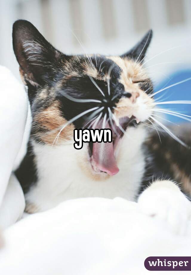 yawn 