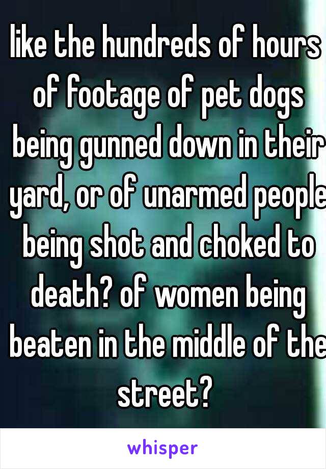 like the hundreds of hours of footage of pet dogs being gunned down in their yard, or of unarmed people being shot and choked to death? of women being beaten in the middle of the street? 