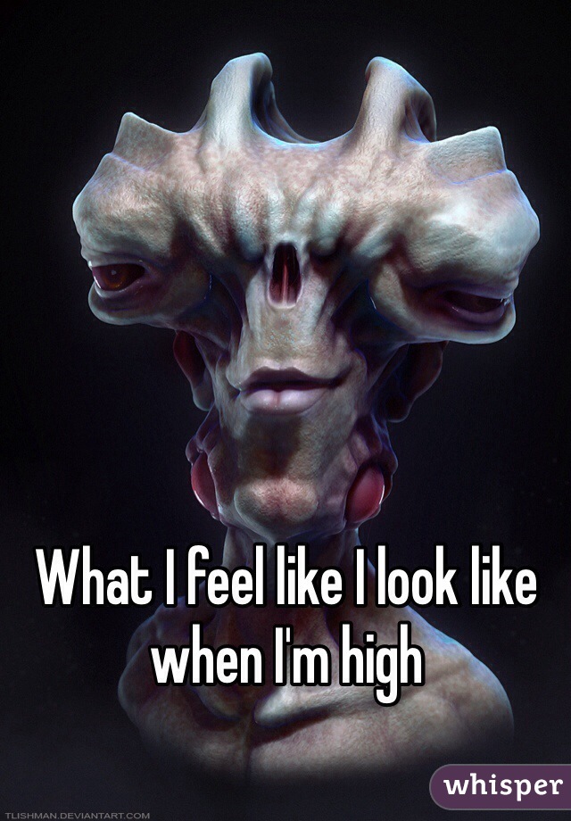 What I feel like I look like when I'm high 