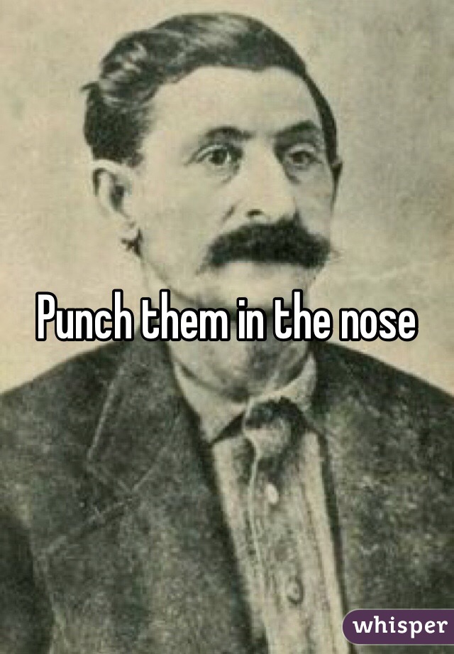 Punch them in the nose