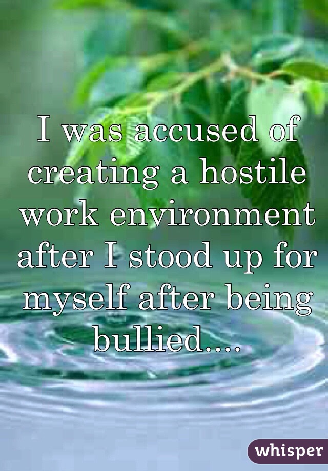 I was accused of creating a hostile work environment after I stood up for myself after being bullied....