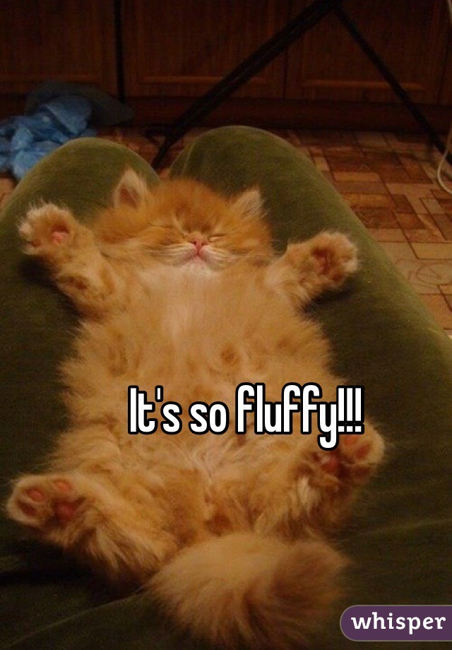 It's so fluffy!!!
