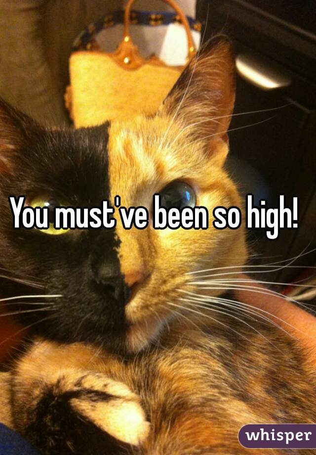 You must've been so high! 