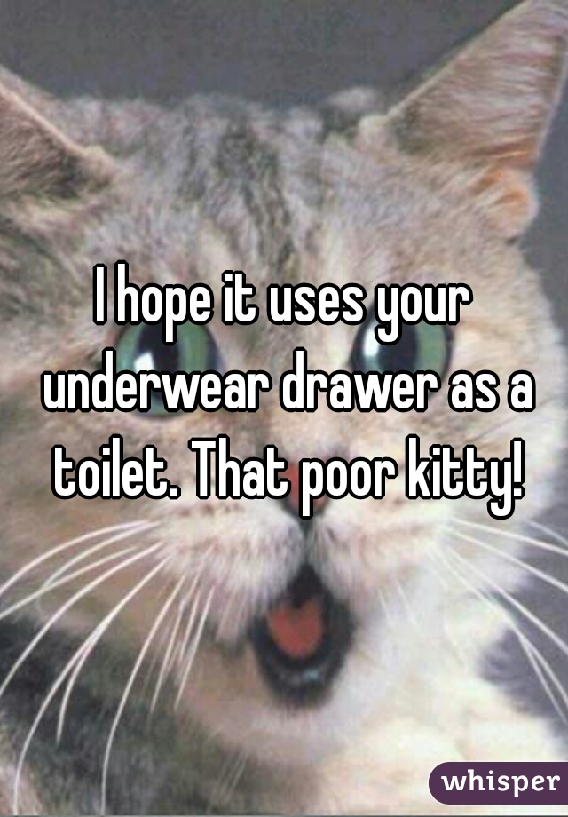 I hope it uses your underwear drawer as a toilet. That poor kitty!