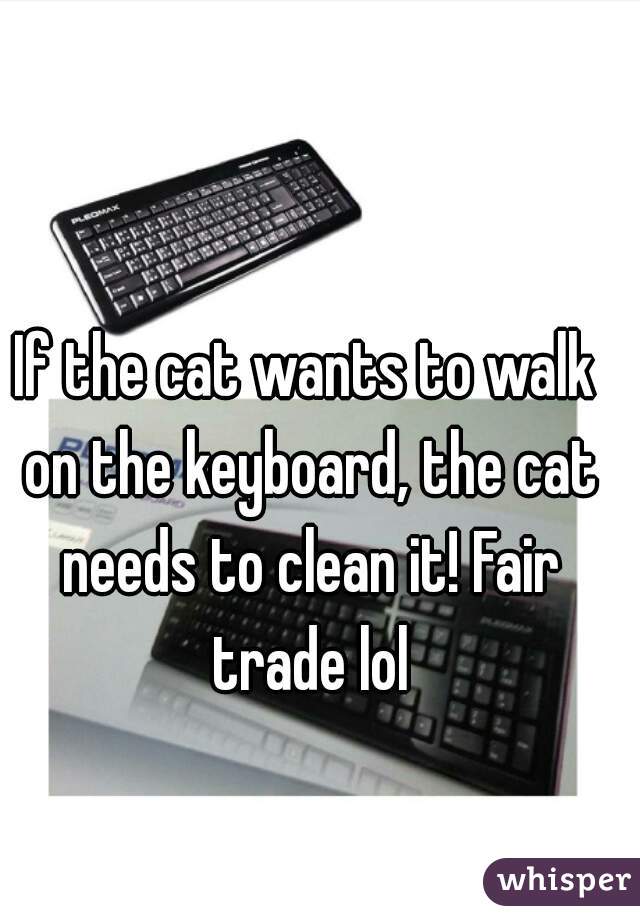 If the cat wants to walk on the keyboard, the cat needs to clean it! Fair trade lol