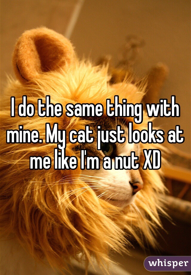 I do the same thing with mine. My cat just looks at me like I'm a nut XD 