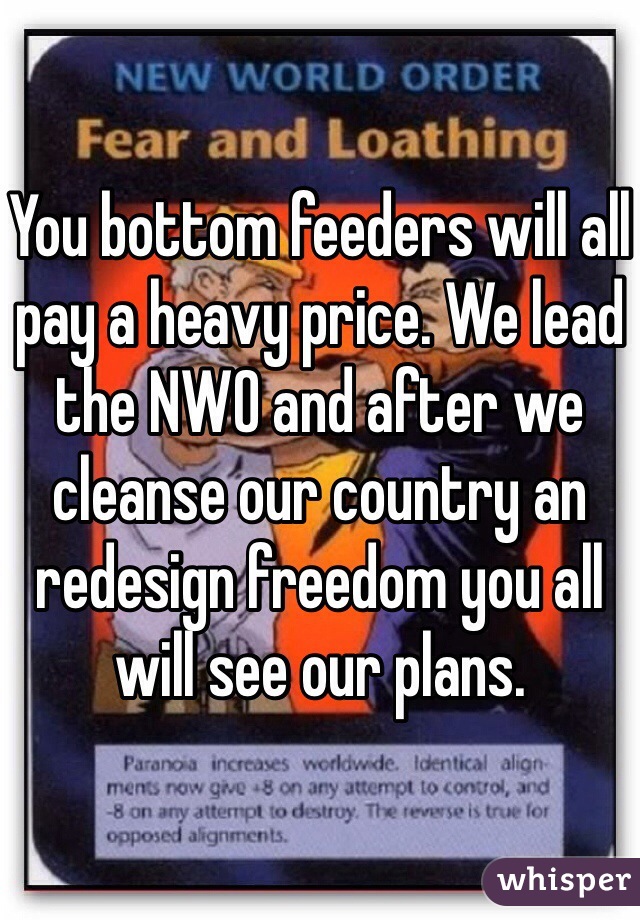 You bottom feeders will all pay a heavy price. We lead the NWO and after we cleanse our country an redesign freedom you all will see our plans. 