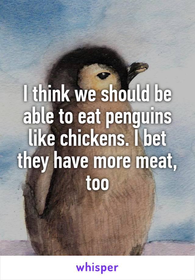 I think we should be able to eat penguins like chickens. I bet they have more meat, too