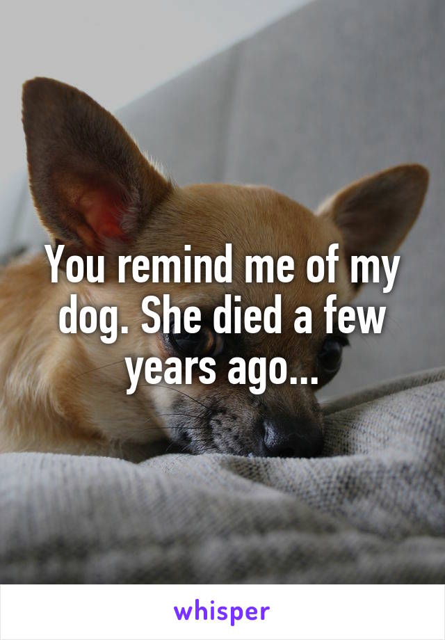 You remind me of my dog. She died a few years ago...