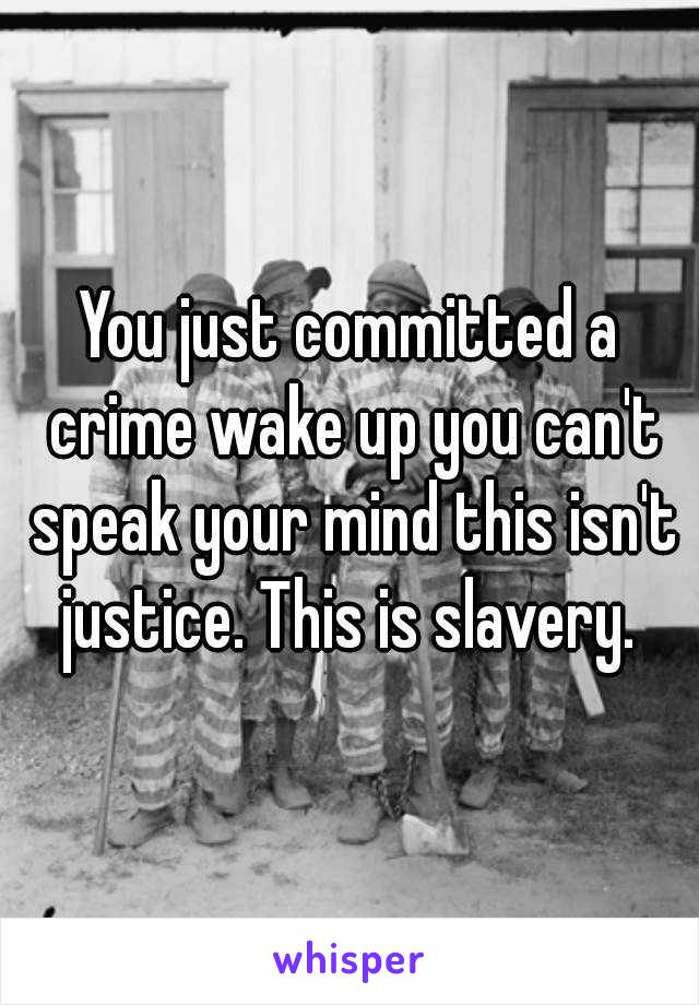 You just committed a crime wake up you can't speak your mind this isn't justice. This is slavery. 