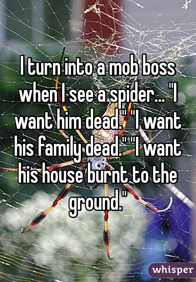 I turn into a mob boss when I see a spider... "I want him dead." "I want his family dead." "I want his house burnt to the ground."