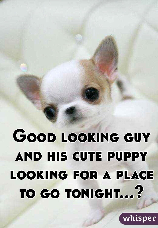 Good looking guy and his cute puppy looking for a place to go tonight…?
