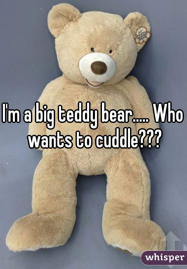 I'm a big teddy bear..... Who wants to cuddle???