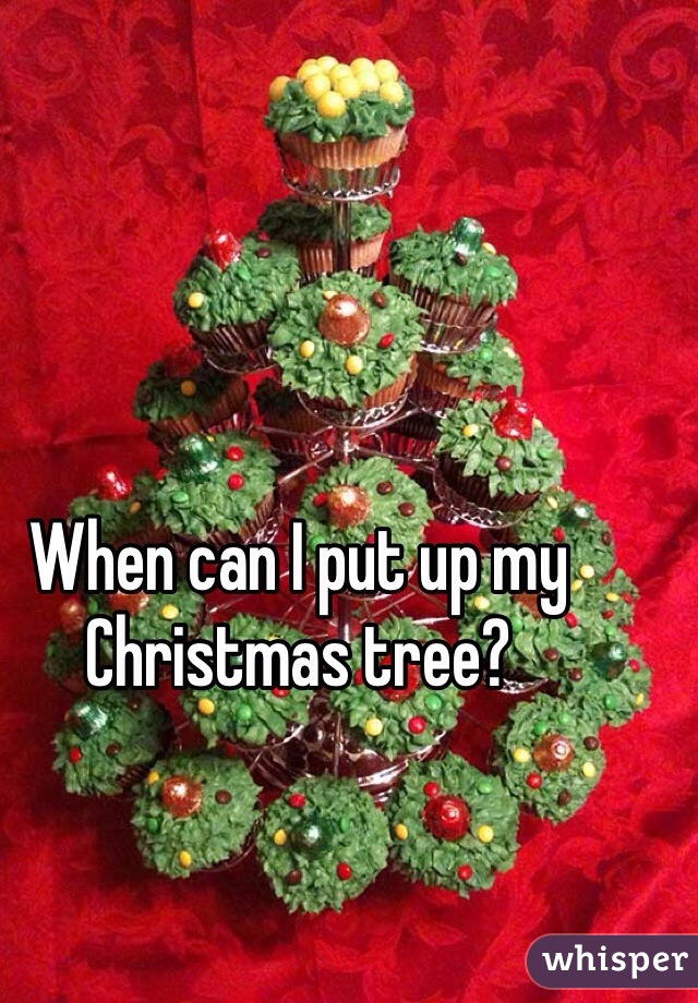 When can I put up my Christmas tree?
