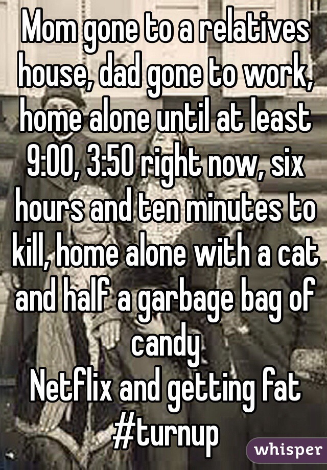 Mom gone to a relatives house, dad gone to work, home alone until at least 9:00, 3:50 right now, six hours and ten minutes to kill, home alone with a cat and half a garbage bag of candy
Netflix and getting fat #turnup