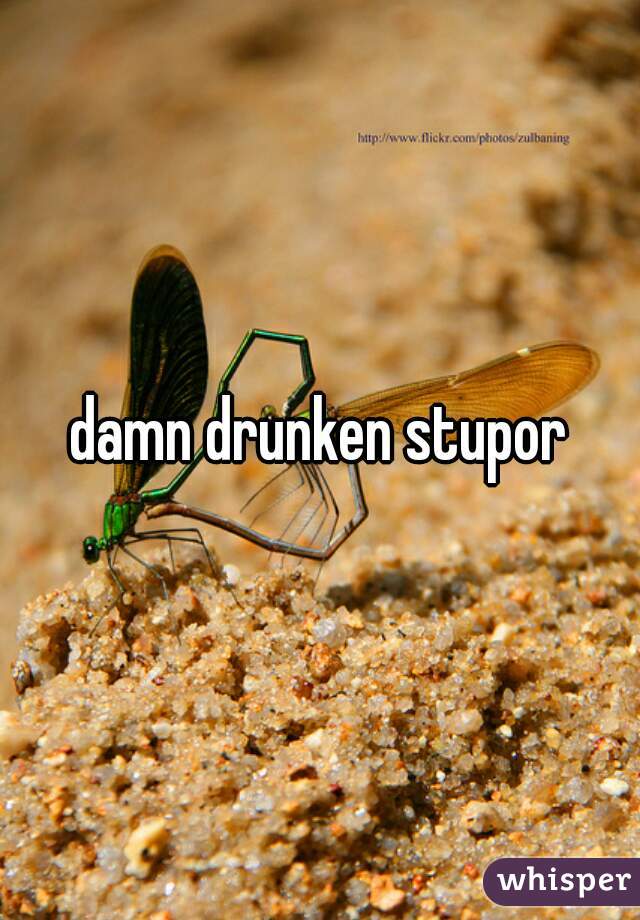 damn drunken stupor