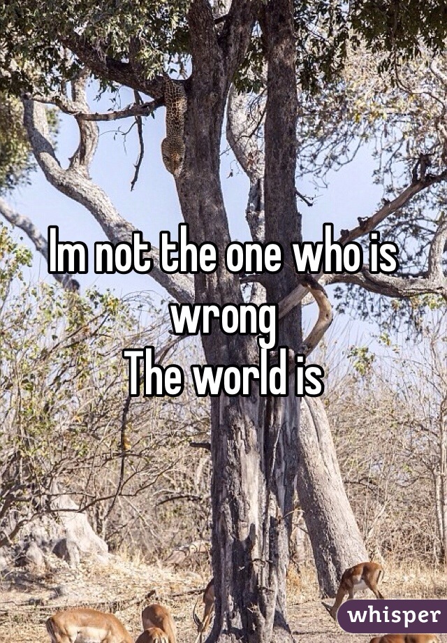 Im not the one who is wrong
The world is