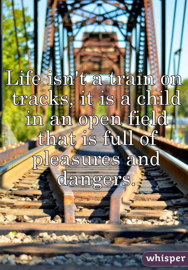 Life isn't a train on tracks, it is a child in an open field that is full of pleasures and dangers.