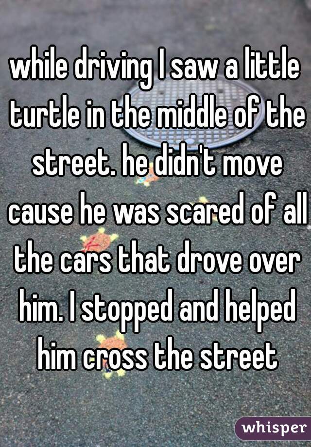 while driving I saw a little turtle in the middle of the street. he didn't move cause he was scared of all the cars that drove over him. I stopped and helped him cross the street