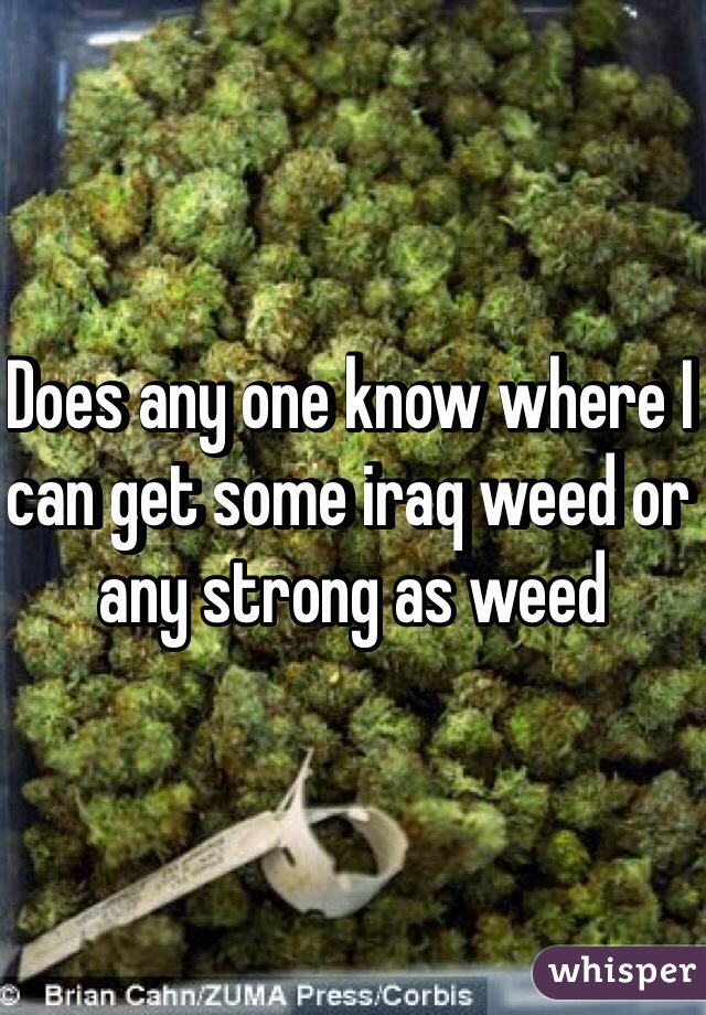 Does any one know where I can get some iraq weed or any strong as weed  