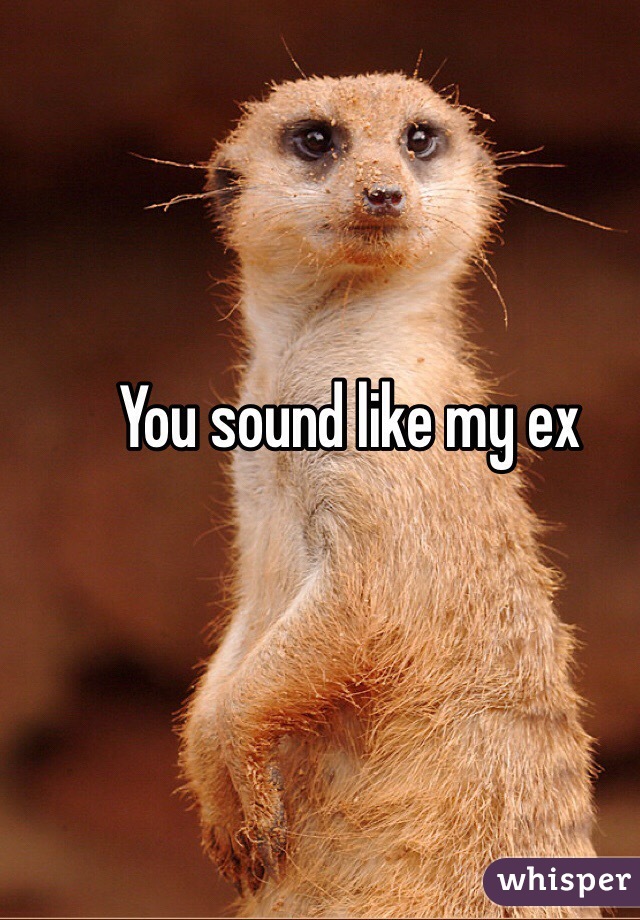 You sound like my ex
 