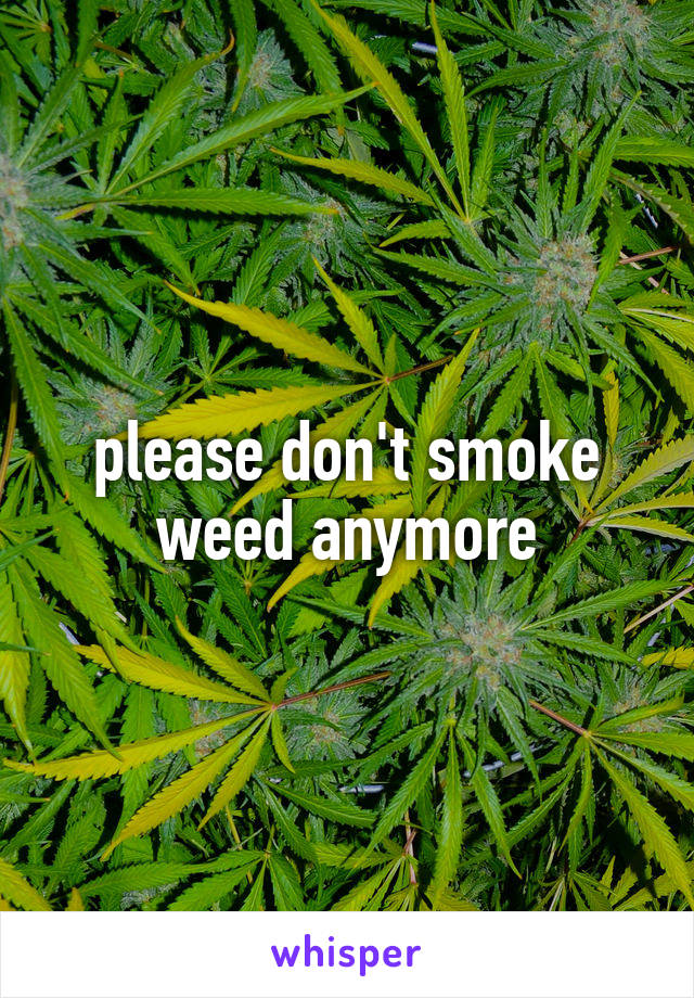 please don't smoke weed anymore