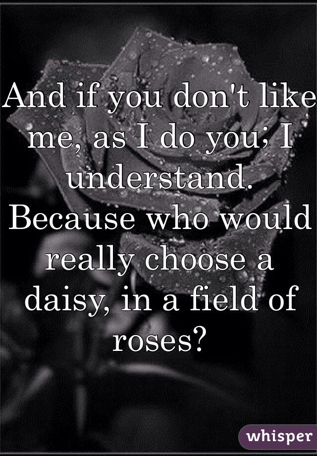 And if you don't like me, as I do you; I understand.
Because who would really choose a daisy, in a field of roses?