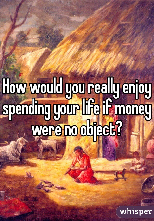 How would you really enjoy spending your life if money were no object?