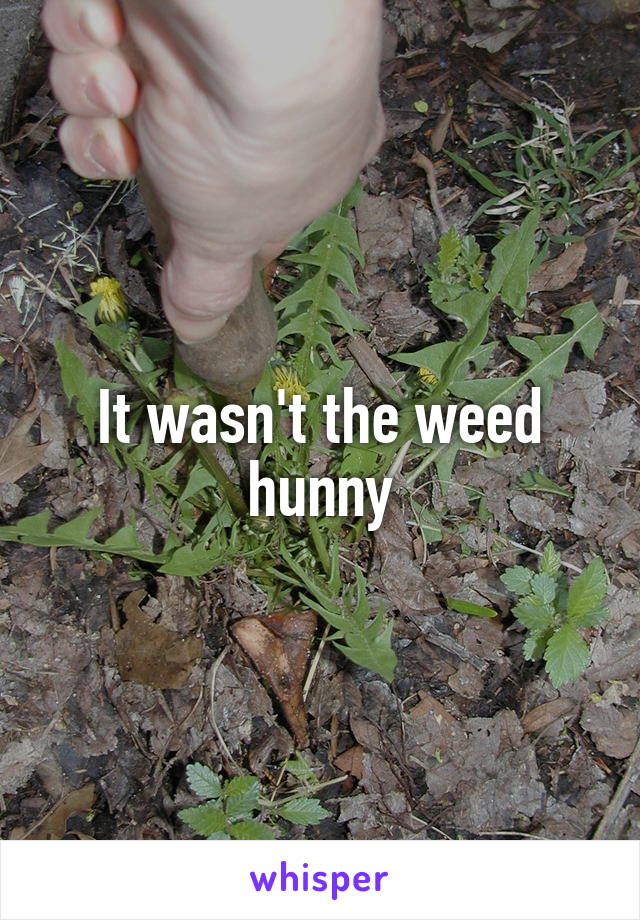 It wasn't the weed hunny
