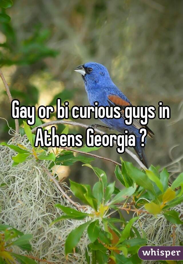Gay or bi curious guys in Athens Georgia ? 